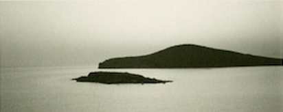 Delphini